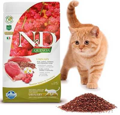 ND GF Quinoa Cat