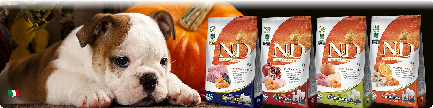 Farmina N&D Grain Free Pumpkin Dog