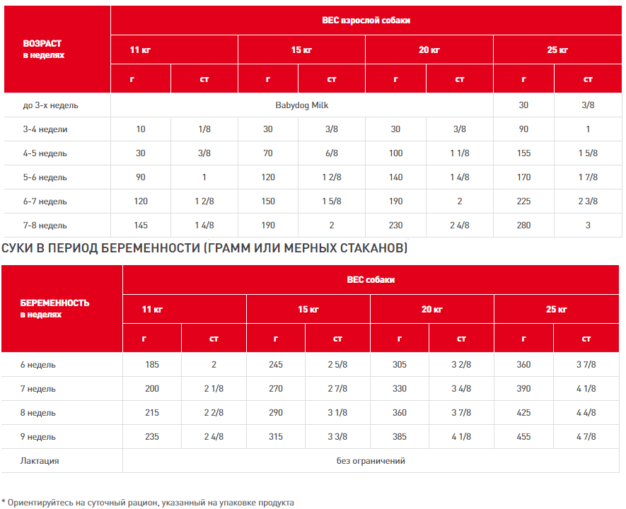   Royal Canin Medium Starter 12 