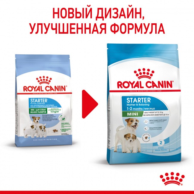   Royal Canin Mini Starter 1   