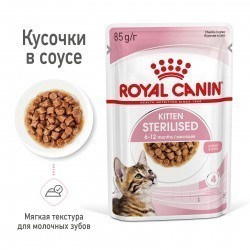  Royal Canin Kitten Sterilised ( ) 12   85   