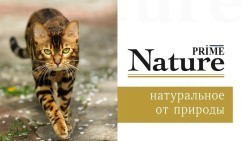  Prime Nature Cat (  ) 100   