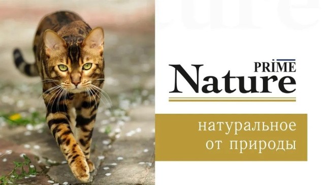  Prime Nature Cat (    ) 100   