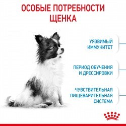   Royal Canin x-small Puppy 1,5   