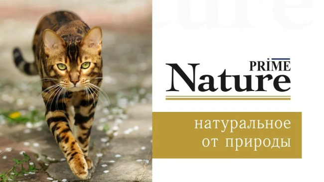  Prime Nature Cat (  )   85   