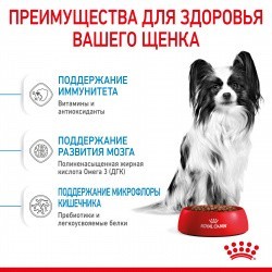   Royal Canin x-small Puppy 1,5   