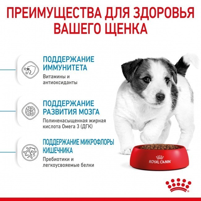   Royal Canin Mini Puppy 4   