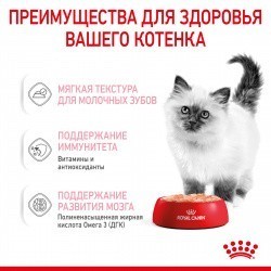  Royal Canin Kitten ( ) 12   85   