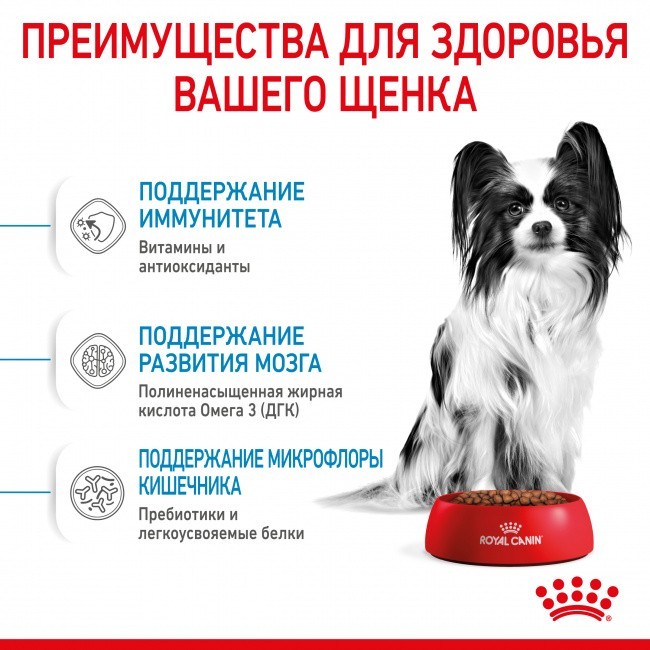   Royal Canin x-small Puppy 3   