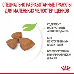   Royal Canin x-small Puppy 3   