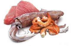  Farmina N&D GF Ocean Cat Tuna, Squid & Shrimp 70   