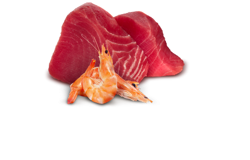  Farmina N&D Natural Cat Tuna & Shrimp 70   