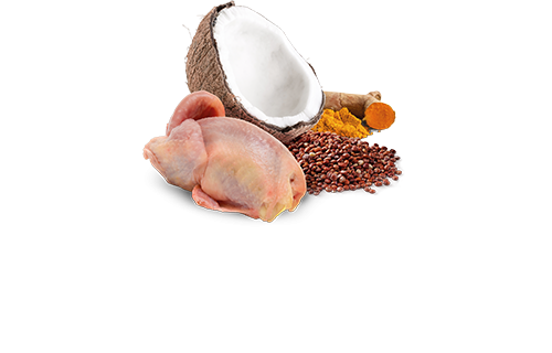  Farmina N&D GF Dog Quinoa quail&coconut Mini 140   