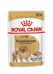  Royal Pomeranian Adult   12   85 