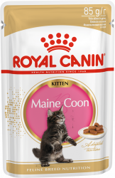  Royal Canin Maine Coon Kitten ( ) 12   85   
