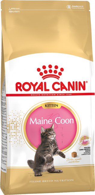   Royal Canin Maine Coon Kitten 10   