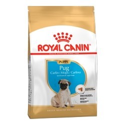  Royal Canin Pug Puppy 1,5   