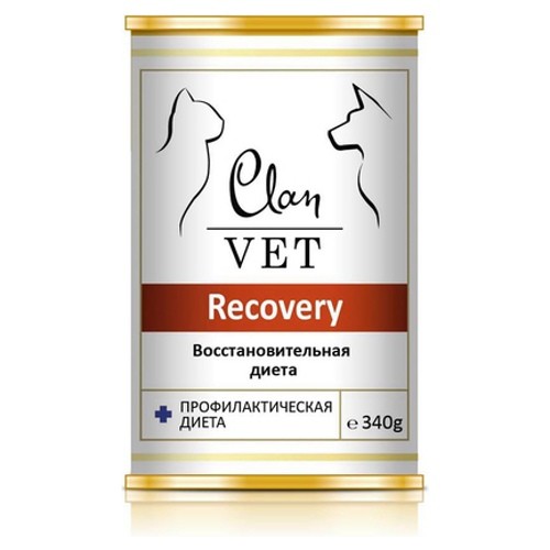  Clan Vet Dog Recovery 340   